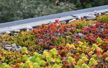 the cost of Dyche green roof installation