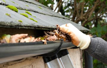 gutter cleaning Dyche, Somerset