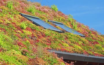 Dyche living roof systems