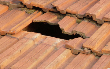 roof repair Dyche, Somerset
