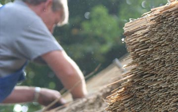 professional Dyche thatchers